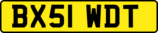 BX51WDT