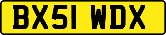 BX51WDX