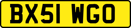 BX51WGO