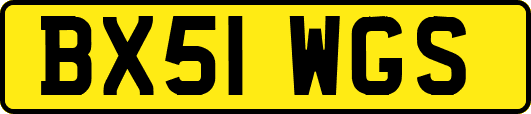 BX51WGS