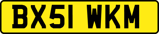 BX51WKM