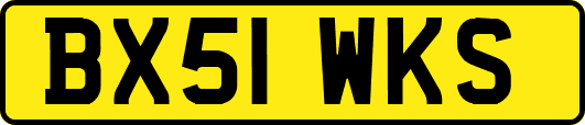 BX51WKS