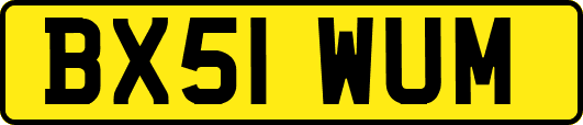 BX51WUM