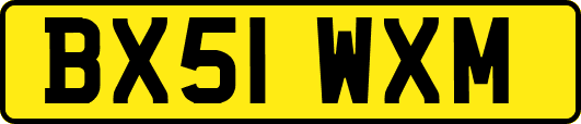 BX51WXM