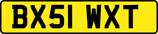 BX51WXT