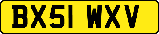 BX51WXV