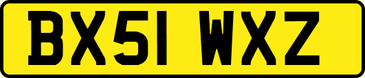 BX51WXZ