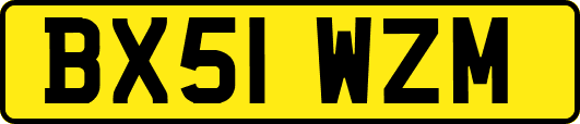 BX51WZM