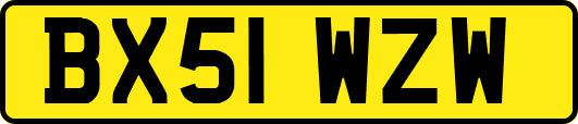 BX51WZW
