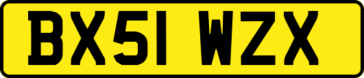 BX51WZX