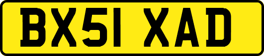 BX51XAD