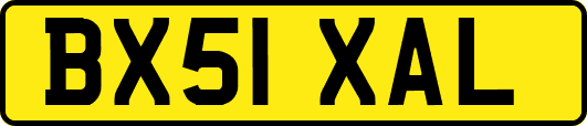 BX51XAL