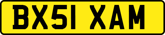 BX51XAM