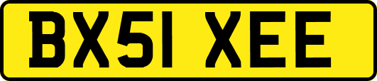 BX51XEE
