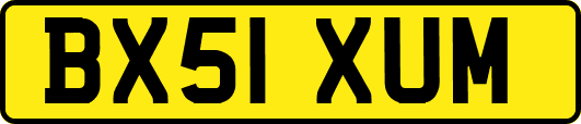 BX51XUM