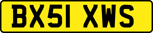 BX51XWS