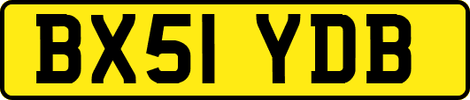 BX51YDB