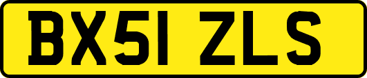 BX51ZLS