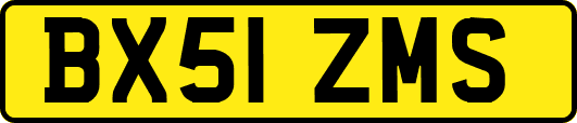 BX51ZMS