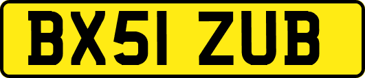 BX51ZUB