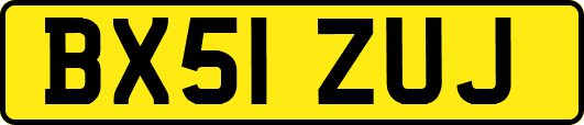 BX51ZUJ