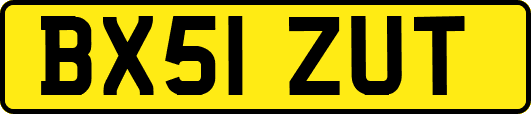BX51ZUT