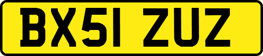 BX51ZUZ
