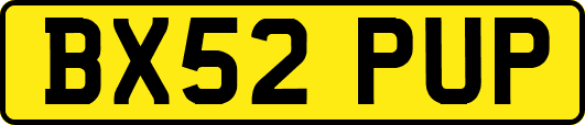 BX52PUP