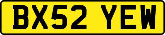 BX52YEW