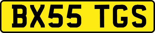 BX55TGS