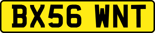 BX56WNT