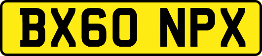 BX60NPX