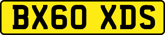 BX60XDS