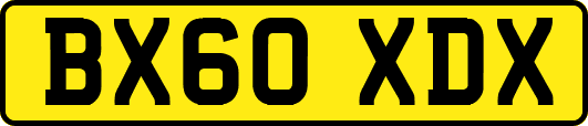 BX60XDX