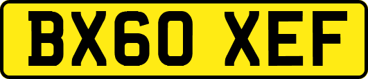 BX60XEF