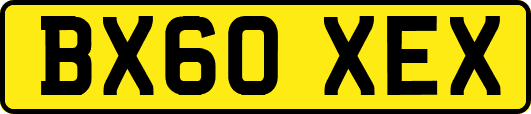 BX60XEX