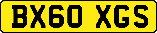 BX60XGS