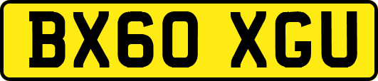 BX60XGU