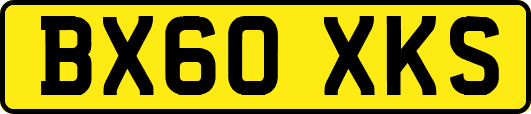 BX60XKS