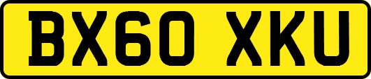 BX60XKU
