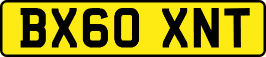 BX60XNT