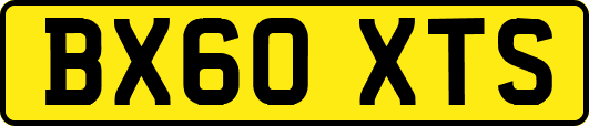 BX60XTS