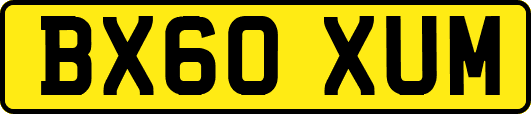 BX60XUM