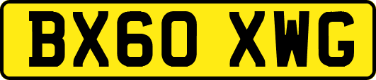 BX60XWG