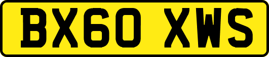 BX60XWS