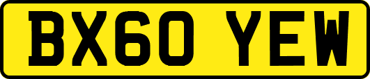 BX60YEW