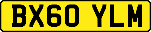 BX60YLM