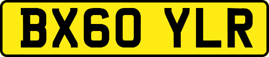 BX60YLR