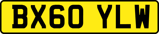BX60YLW