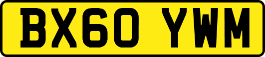 BX60YWM